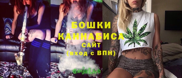 МДПВ Михайловск