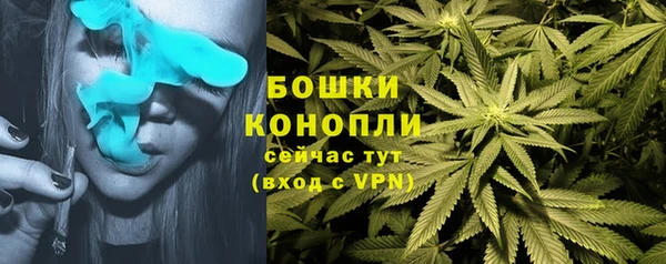 МДПВ Михайловск