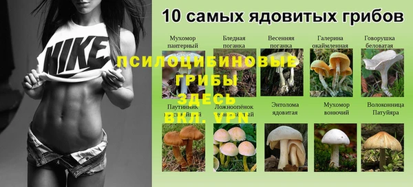 первитин Медвежьегорск