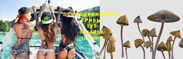 МДПВ Михайловск